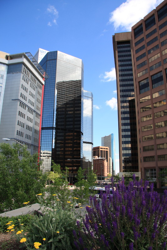 Denver downtown hoejhuse