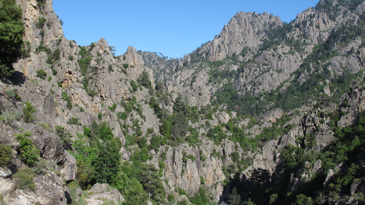 flottevandreture.dk-korsika-bastia-vandretur-30-corte-gorges-du-tavignano-til-broen-corte-19.JPG